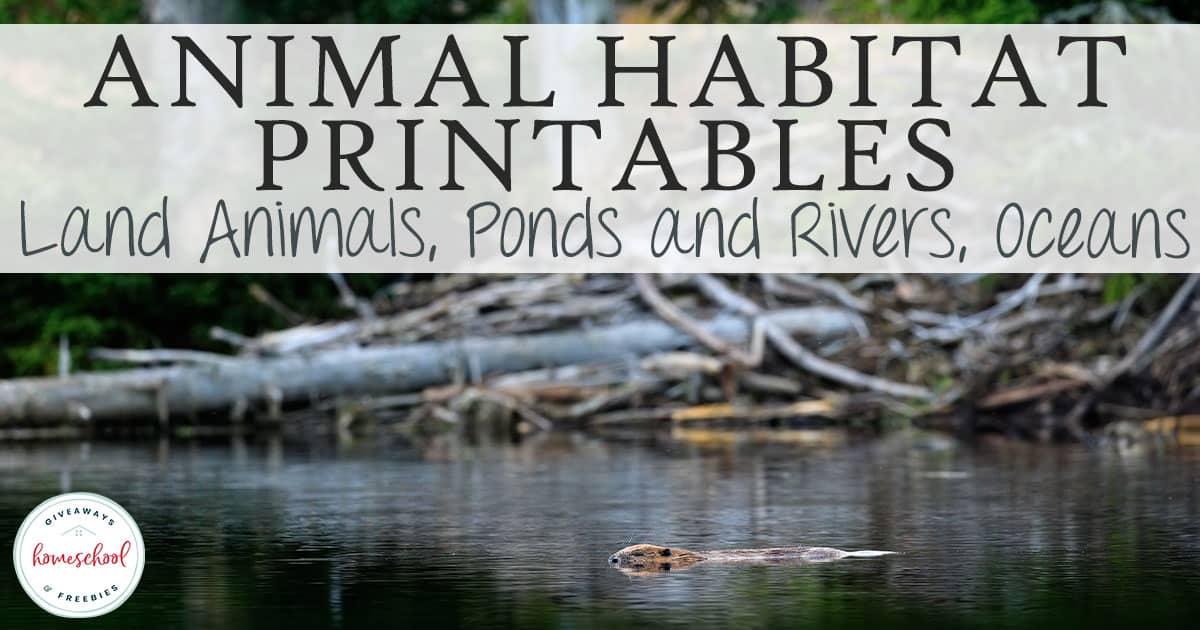 FREE Animal Habitat Printables: Land Animals, Ponds and Rivers, Oceans ...