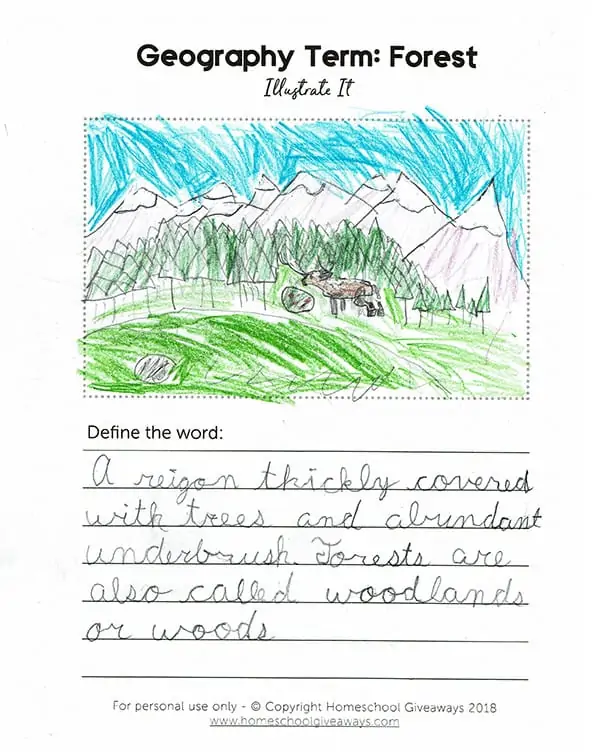 Geography Term: Forest writing page