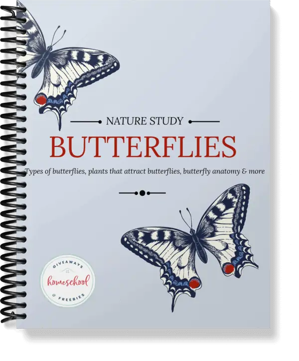 Nature Study Butterflies workbook cover