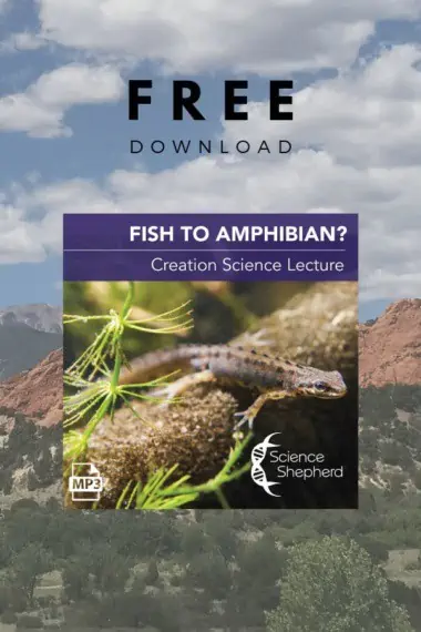 Free Download Fish to Amphibian? Creation Science Lecture