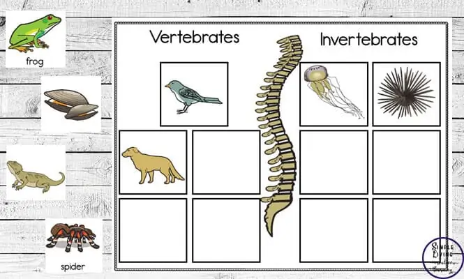 Free Classifying Invertebrates and Vertebrates Printables