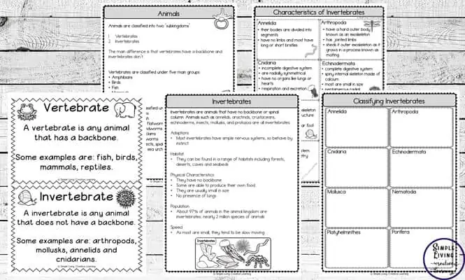 Free Classifying Invertebrates and Vertebrates Printables