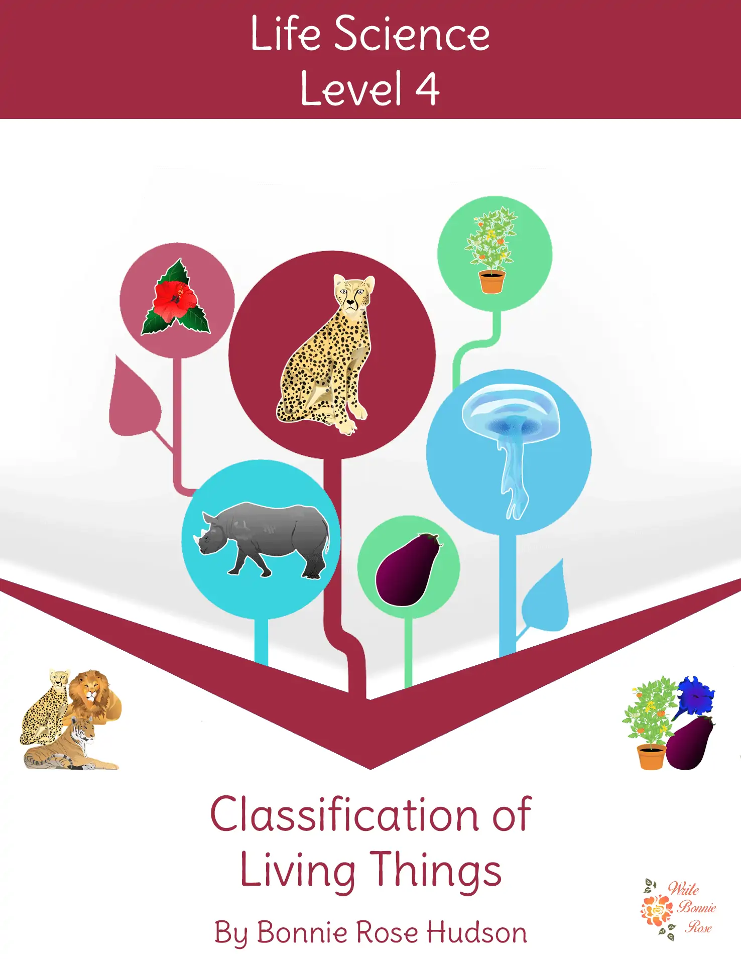 Life Science Level 4 Classification of Living Things