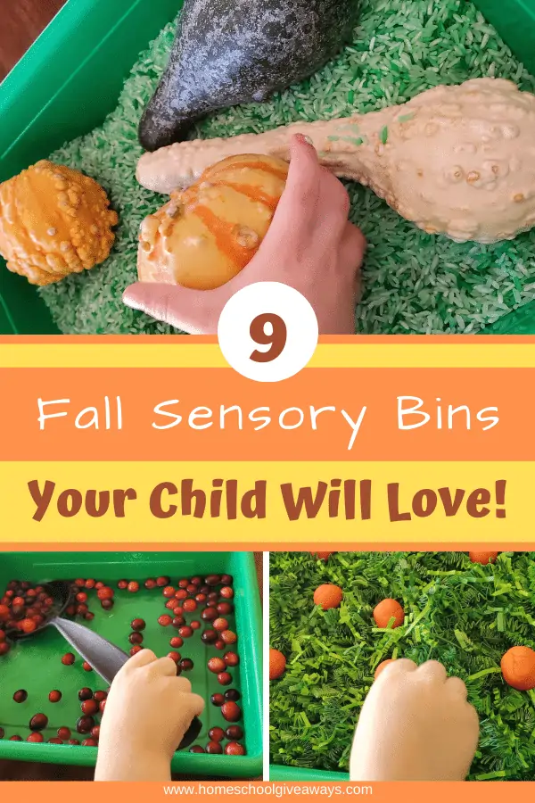 9 Fall Sensory Bins Your Child Will Love!