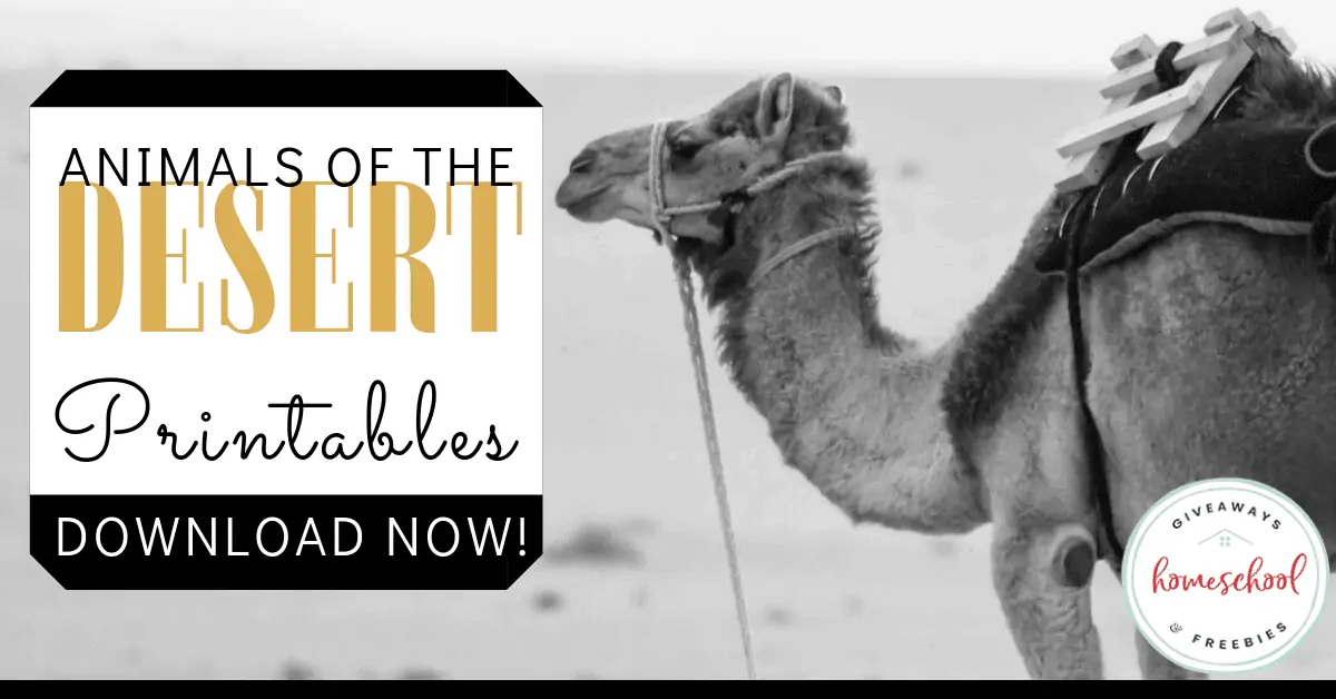 Animals of the Desert Printables text with black and white image of a camel