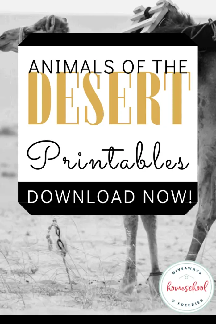 Animals of the Desert Printables text with black and white background image of a camel