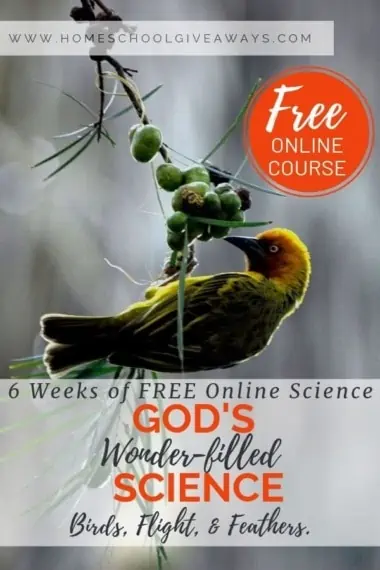 image of bird eating berries with text overlay. Free Online Course. 6-weeks of FREE online science. God's Wonderfilled Science: Birds, flight & feathers