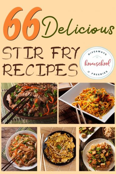 66 Delicious Stir Fry Recipes