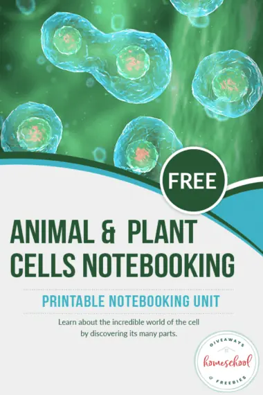 Free Animal & Plant Cells Notebooking Printable Unit Study