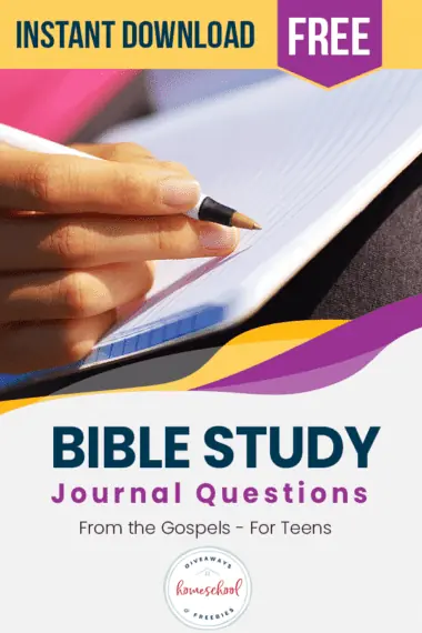 Bible Study Journal Questions