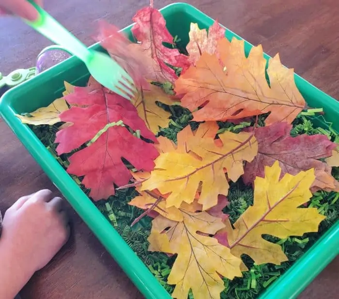 A plastic container with decorative fall leaves