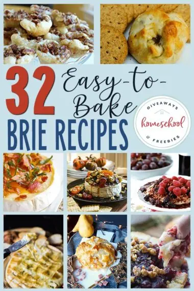 32 Easy to Bake Brie Recipes