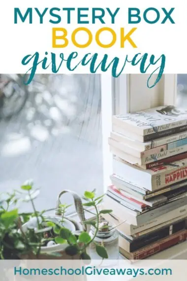 Mystery Box Book Giveaway text with image of a stack of books on a windowsill next to a plant