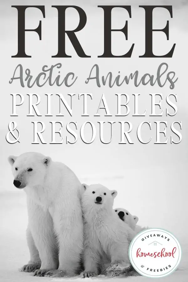 Free Arctic Animals Printables & Resources text with background image of two polar bears