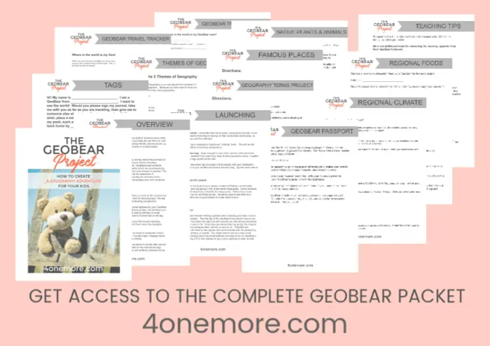 Geobear Packet pages