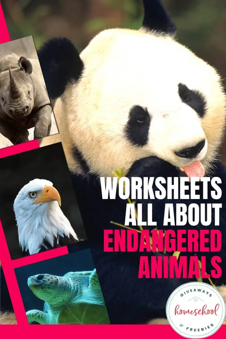 Worksheets All About Endangered Animals