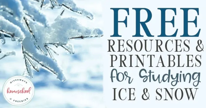 Free Resources & Printables for Studying Ice & Snow