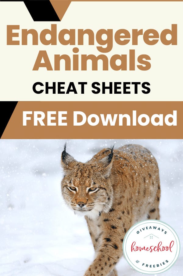Endangered Animals Cheat Sheets Free Download