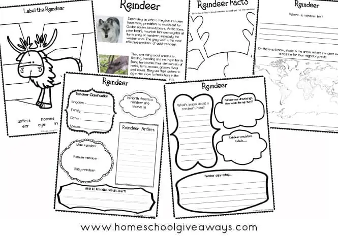 printable reindeer page examples
