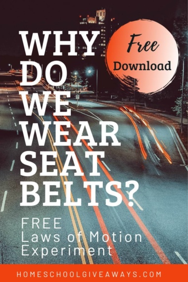 Why Do We Wear Seatbelts? text with image background of driving streets at night
