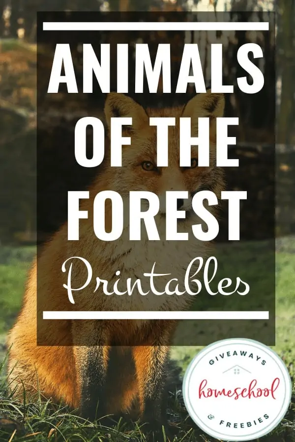 Animals of the Forest Printables text with background of a fox