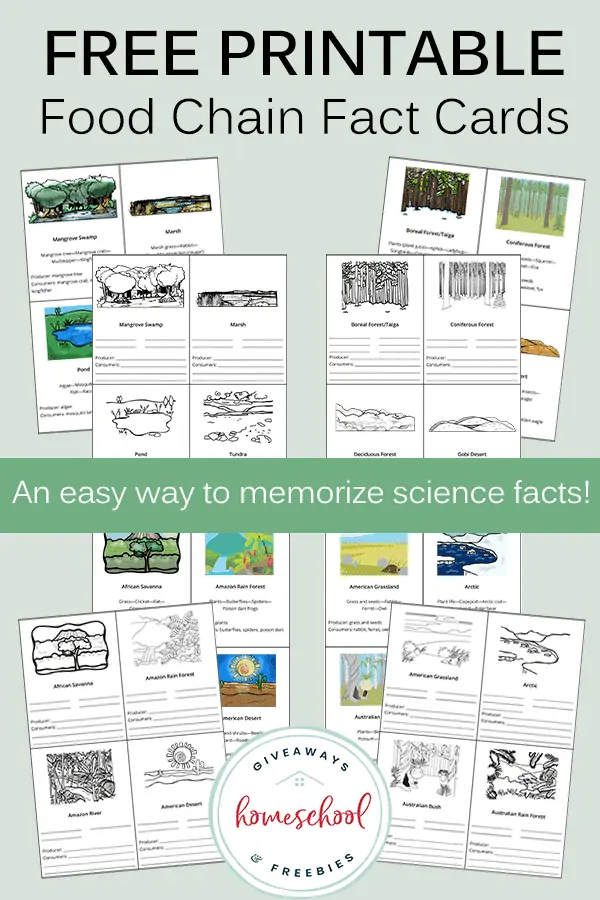 Free Printable Food Chain Fact Cards text with image examples of cards