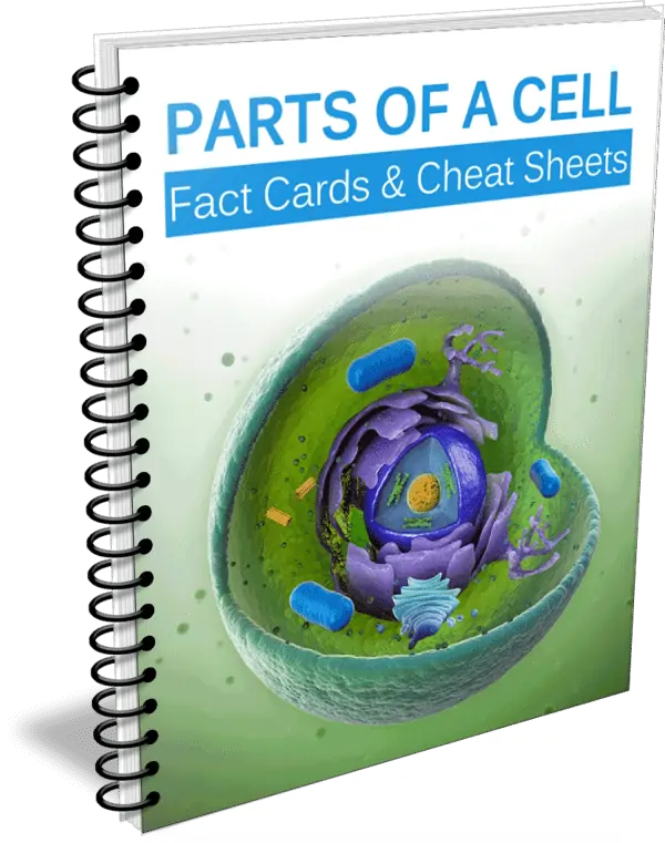 Parts of a Cell Fact Cards and Cheat Sheets