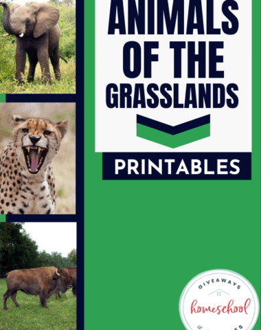 Animals of the Grasslands Printables. #grasslandanimals #grasslandsbiome #grasslandshabitat