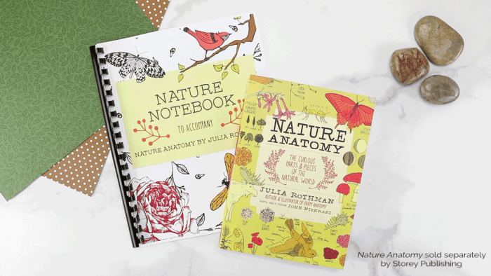 Notebooking Ideas for Nature Study - Homeschool Giveaways