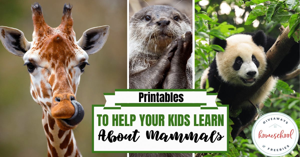 Printables to Help Your Kids Learn About Mammals
