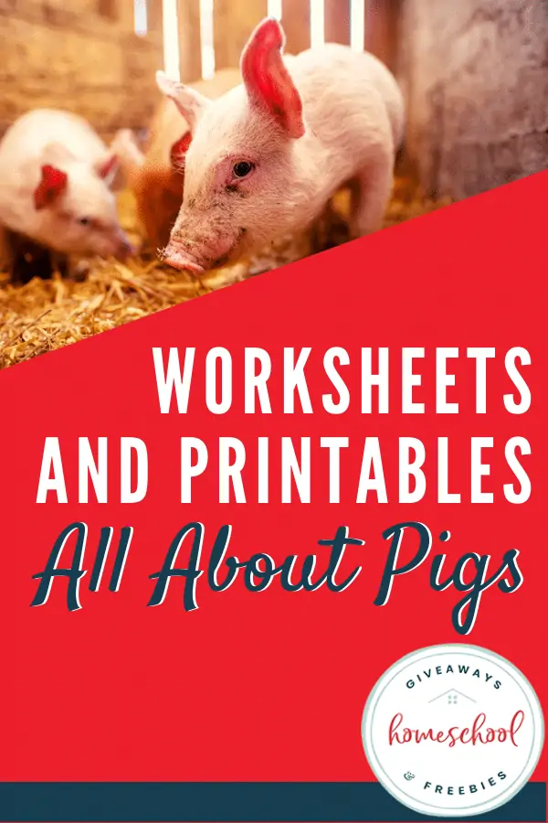 Worksheets and Printables All About Pigs