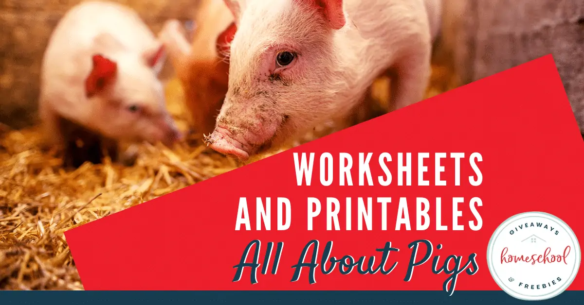 Worksheets and Printables All About Pigs