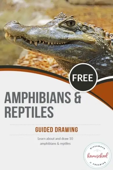 Free Amphibians & Reptiles Guided Drawing text with image of a crocodile