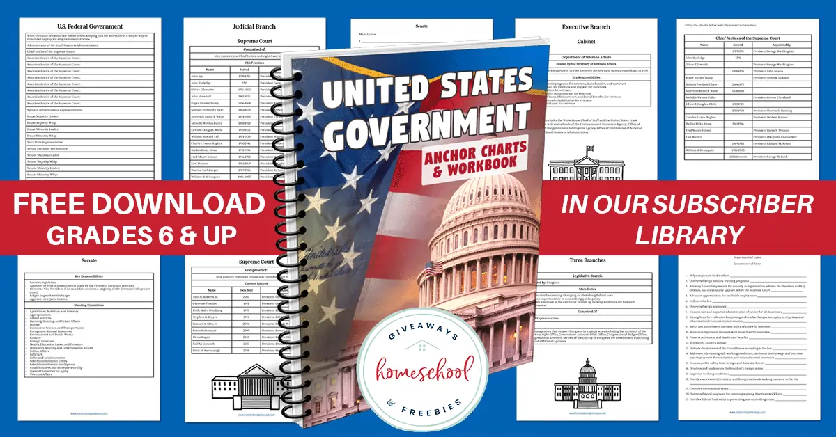 Unite States Government Anchor Chart & Workbook book cover with image background of page examples