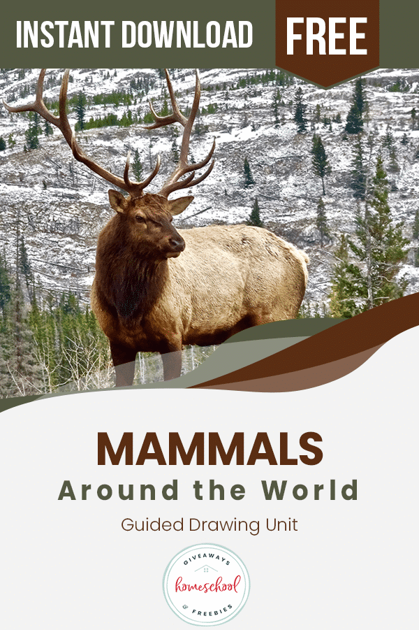 Mammals Around the World