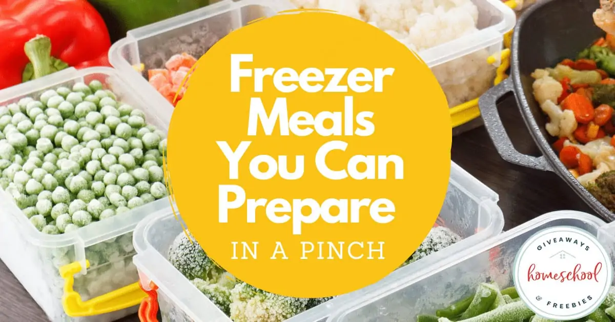 Freezer Meals You Can Prepare in a Pinch