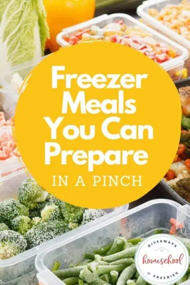 Freezer Meals You Can Prepare in a Pinch