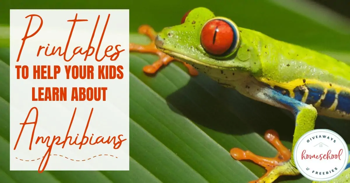 Printables to Help Your Kids Learn About Amphibians