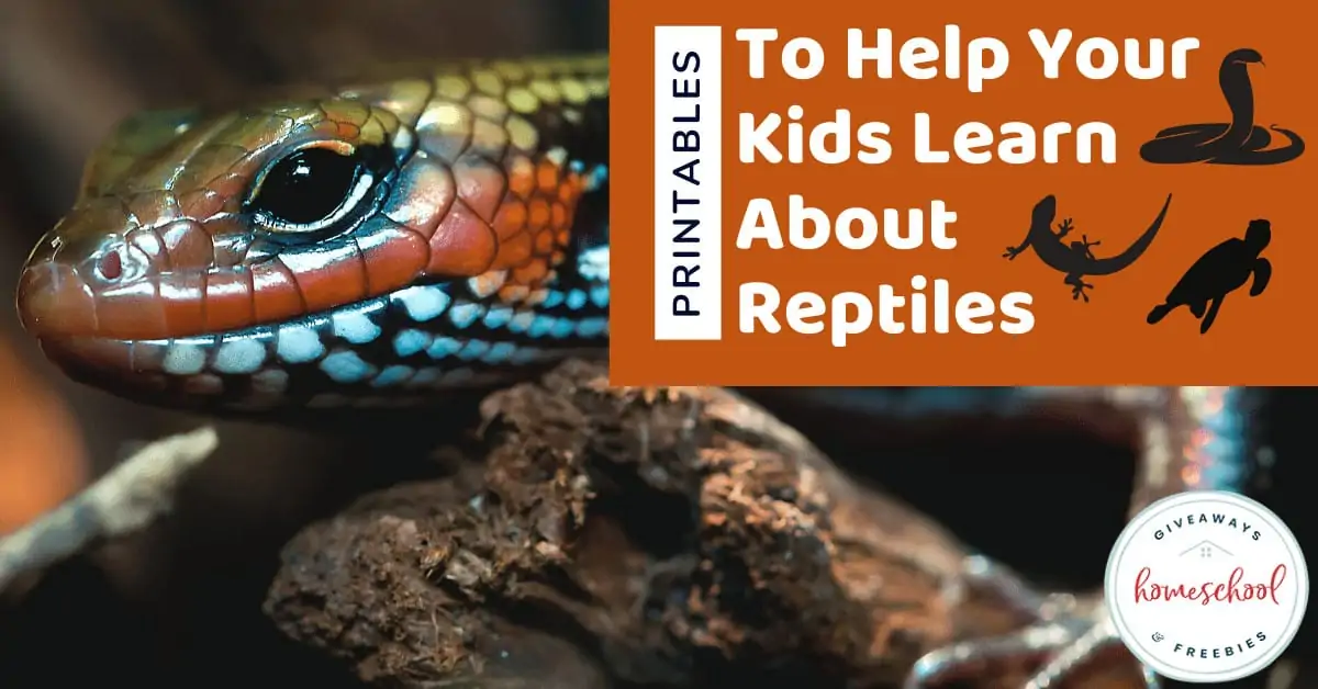 Printables to Help Your Kids Learn About Reptiles text with image of a reptile