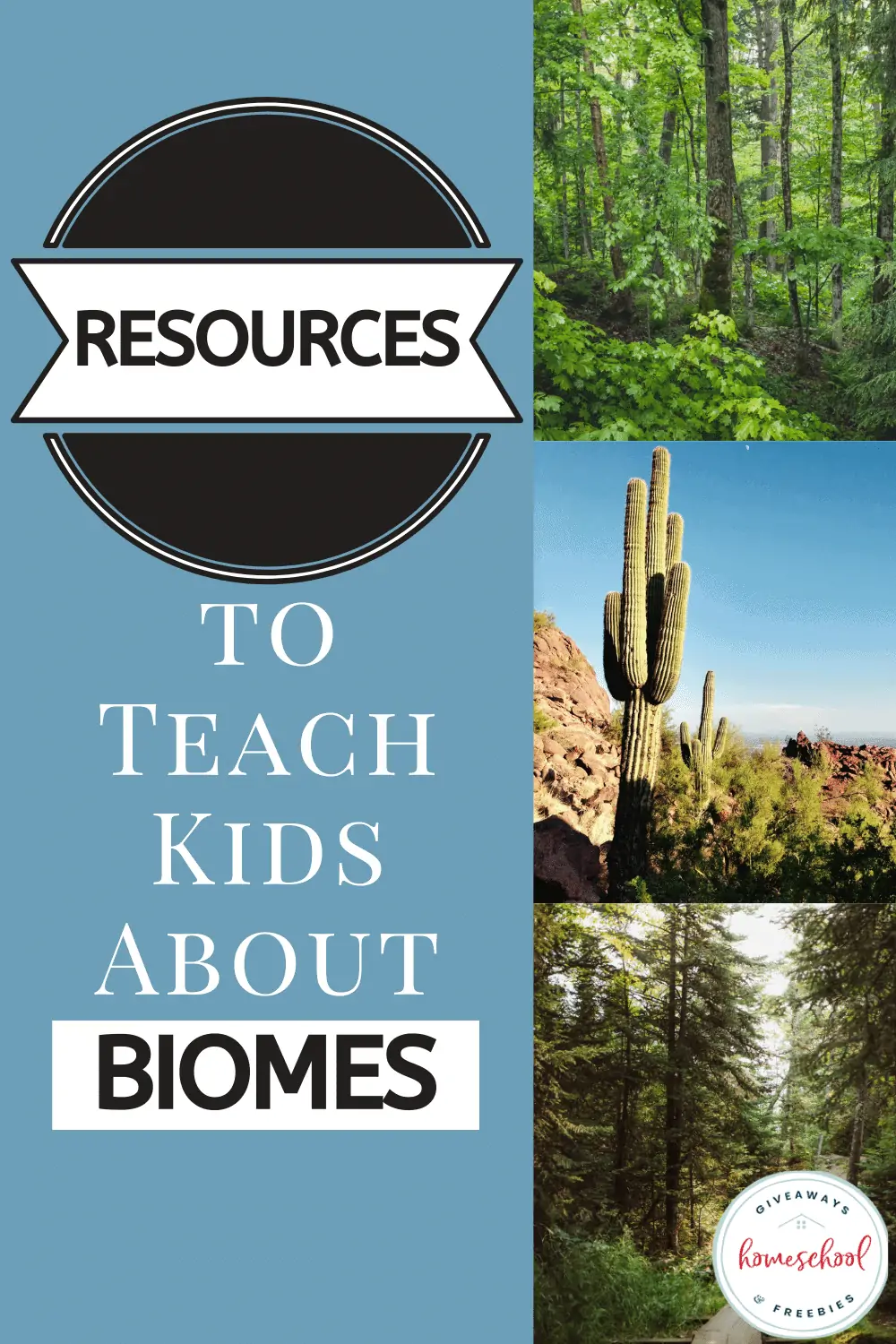 Resources to Teach Kids About Biomes