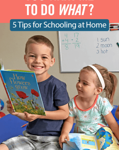 You Want Me to Do What? 5 Tips for Schooling at Home