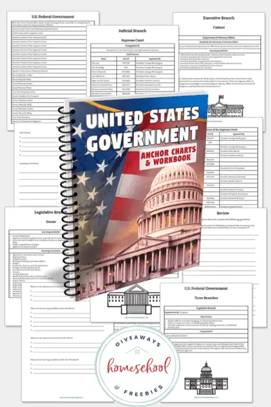 Government workbook pages