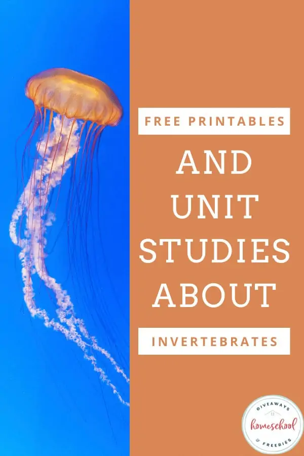free printables and unit studies about invetebrates text with photo of a jellyfish in water.
