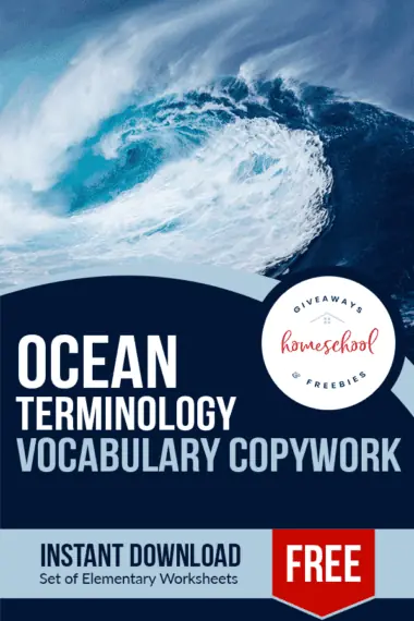 Ocean Terminology Vocabulary Copywork text with image background of a large wave