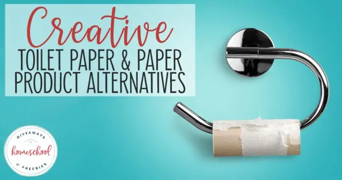 empty toilet paper roll with overlay Creative Toilet Paper & Paper Product Alternatives