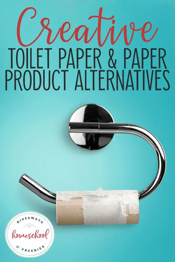 empty toilet paper roll with overlay Creative Toilet Paper & Paper Product Alternatives