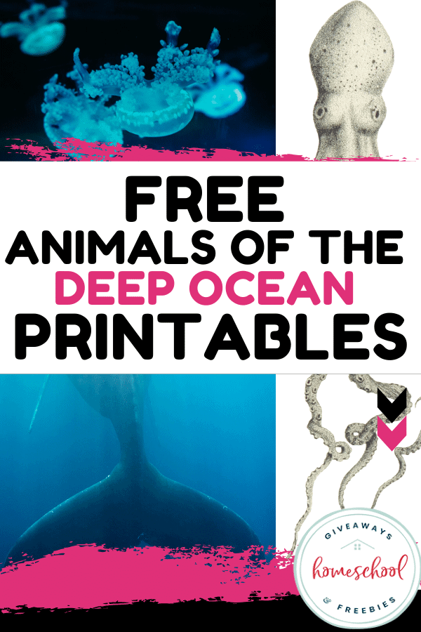 Free Animals of the Deep Ocean Printables text with photos of ocean animals.