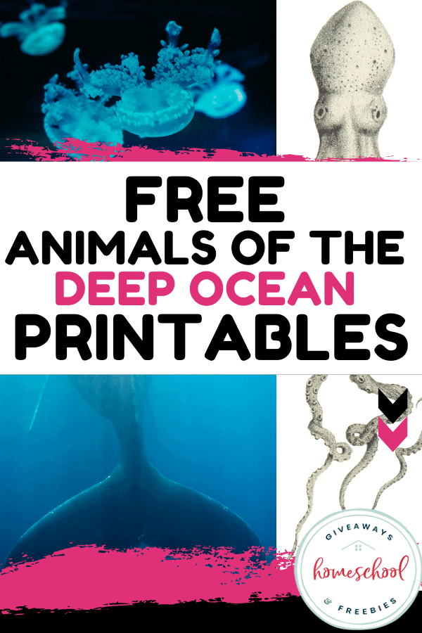 free animals of the deep ocean printables homeschool giveaways