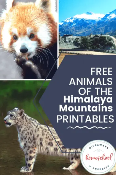 Free Animals of the Himalaya Mountains Printables text with image collage of different animals