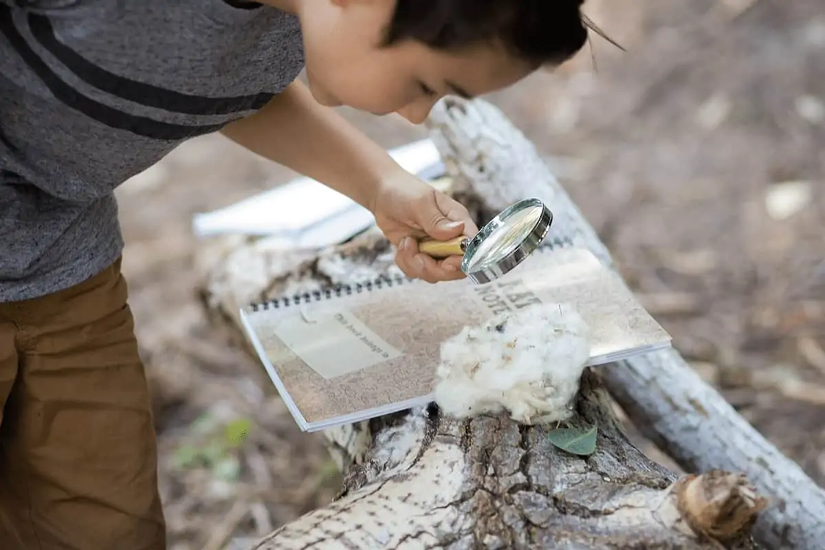 using a magnifying glass outside with a nature notebook
